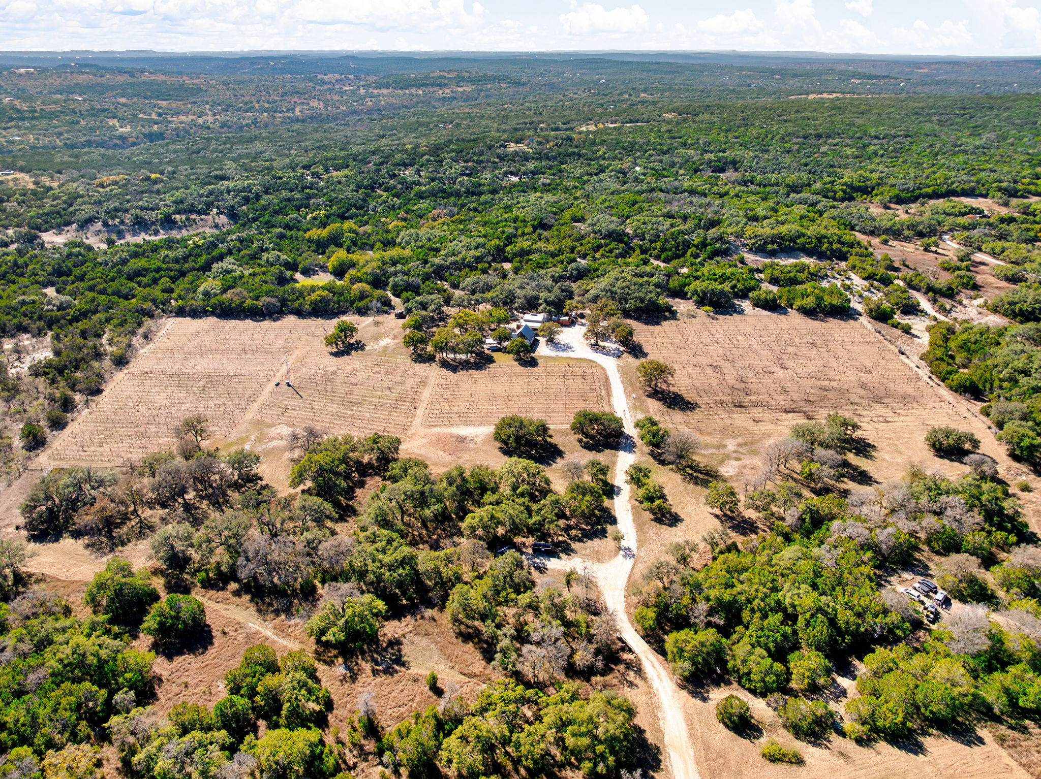 25711 Hamilton Pool Road Round Mountain, TX 78663 - Photo 25 of 39 an aerial view of residential houses with outdoor space and trees