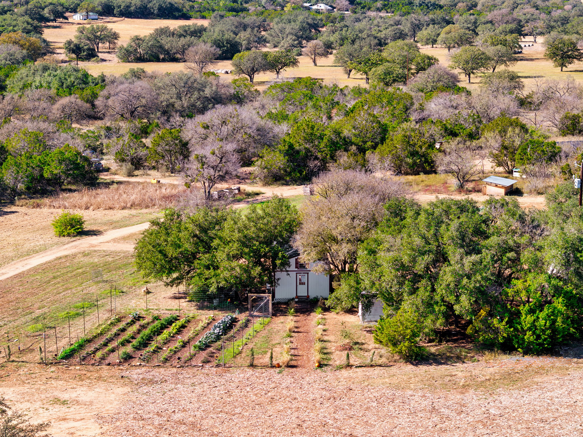 25711 Hamilton Pool Road Round Mountain, TX 78663 - Photo 28 of 39 a view of a park with large trees