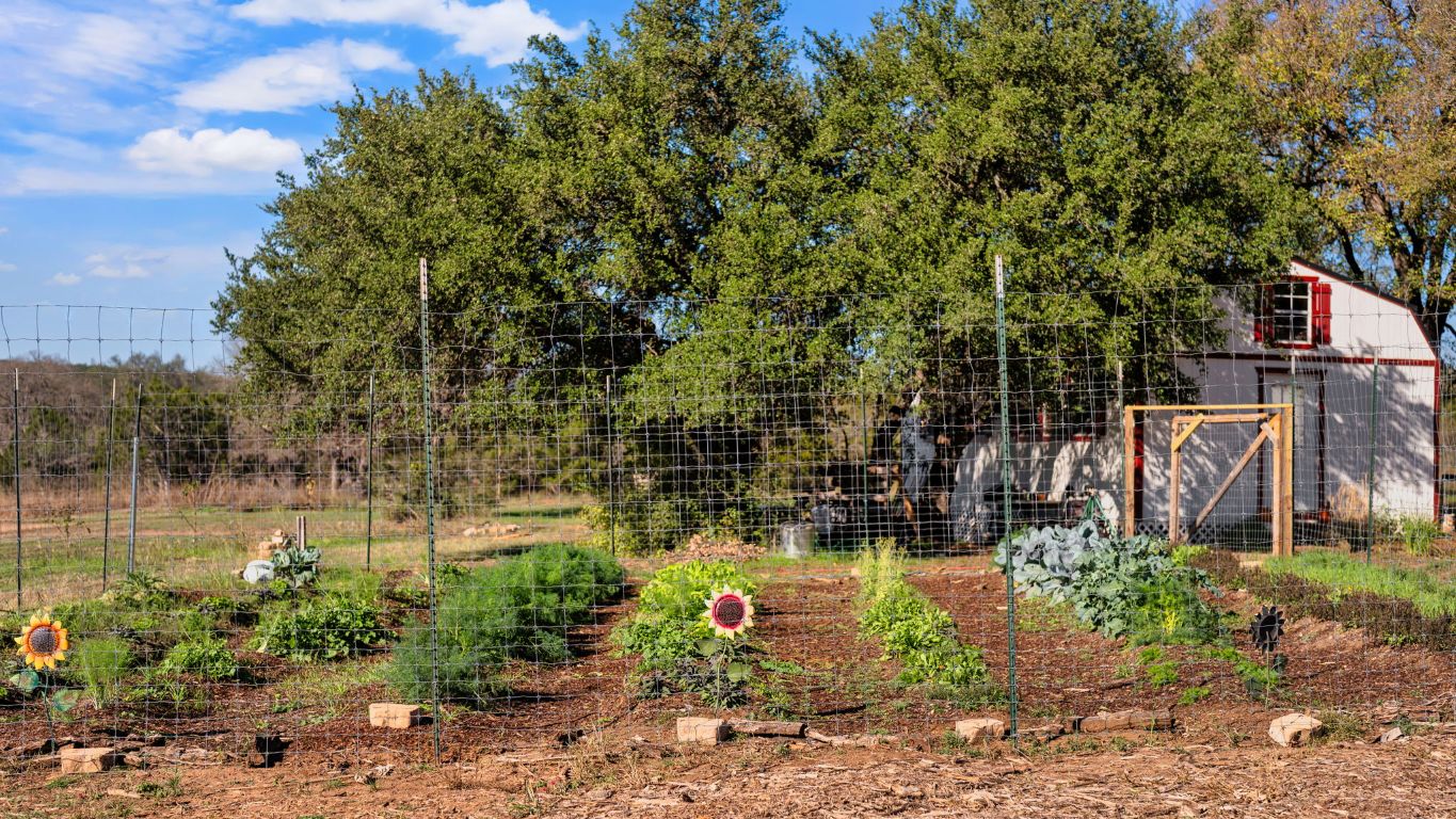 25711 Hamilton Pool Road Round Mountain, TX 78663 - Photo 31 of 40 a backyard of a house with lots of green space and fountain