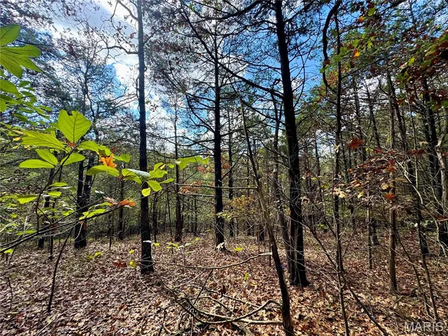 $192,000 | 16-ac Haverstick School Road, Festus, MO 63028