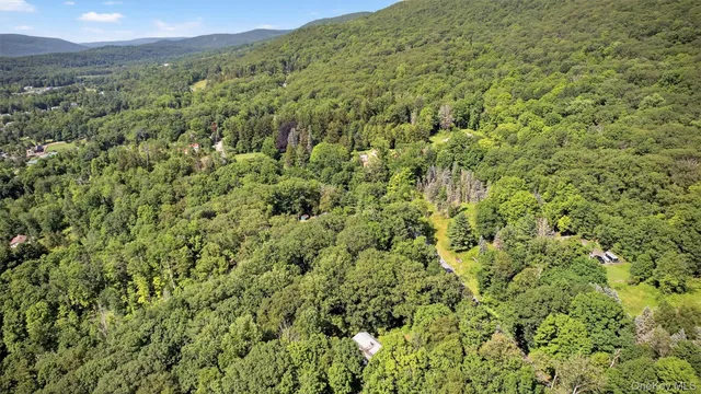 a view of a forest with trees
