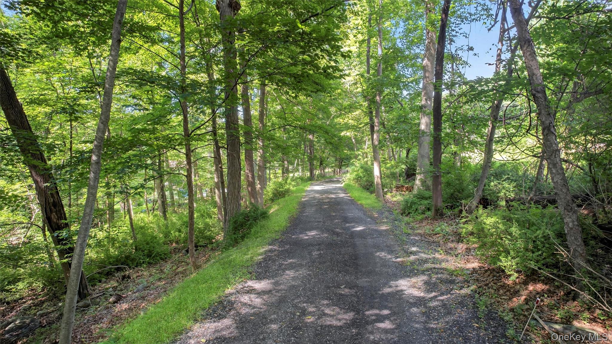 300 Estrada Road Central Valley, NY 10917 - Photo 14 of 30 a view of a forest with trees