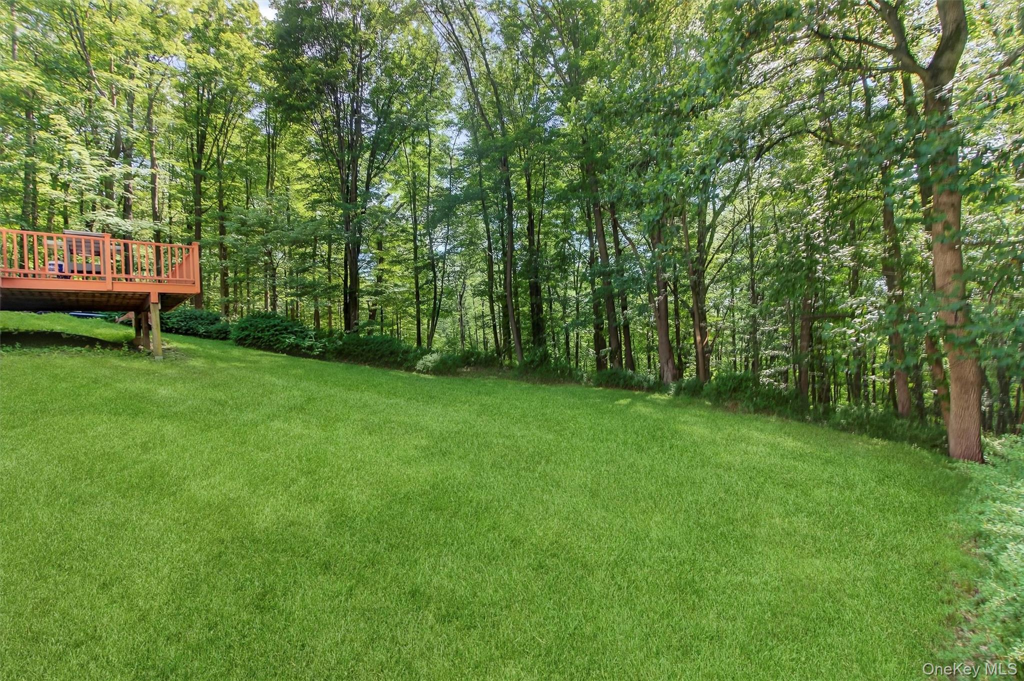 300 Estrada Road Central Valley, NY 10917 - Photo 9 of 30 a view of a garden with trees