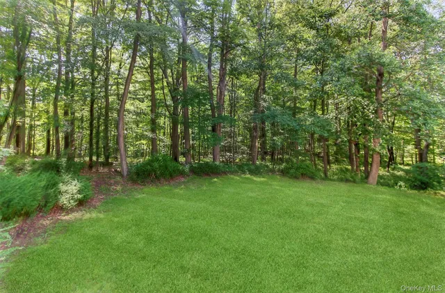 a view of a backyard