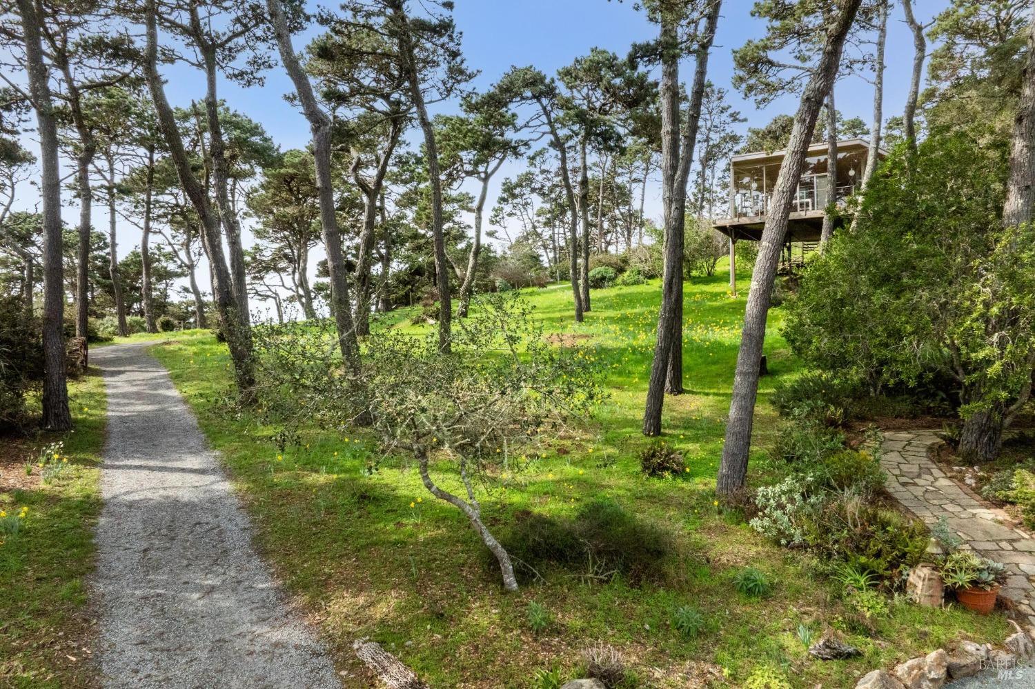 1208 Pierce Point Road Inverness, CA 94937 - Photo 27 of 89