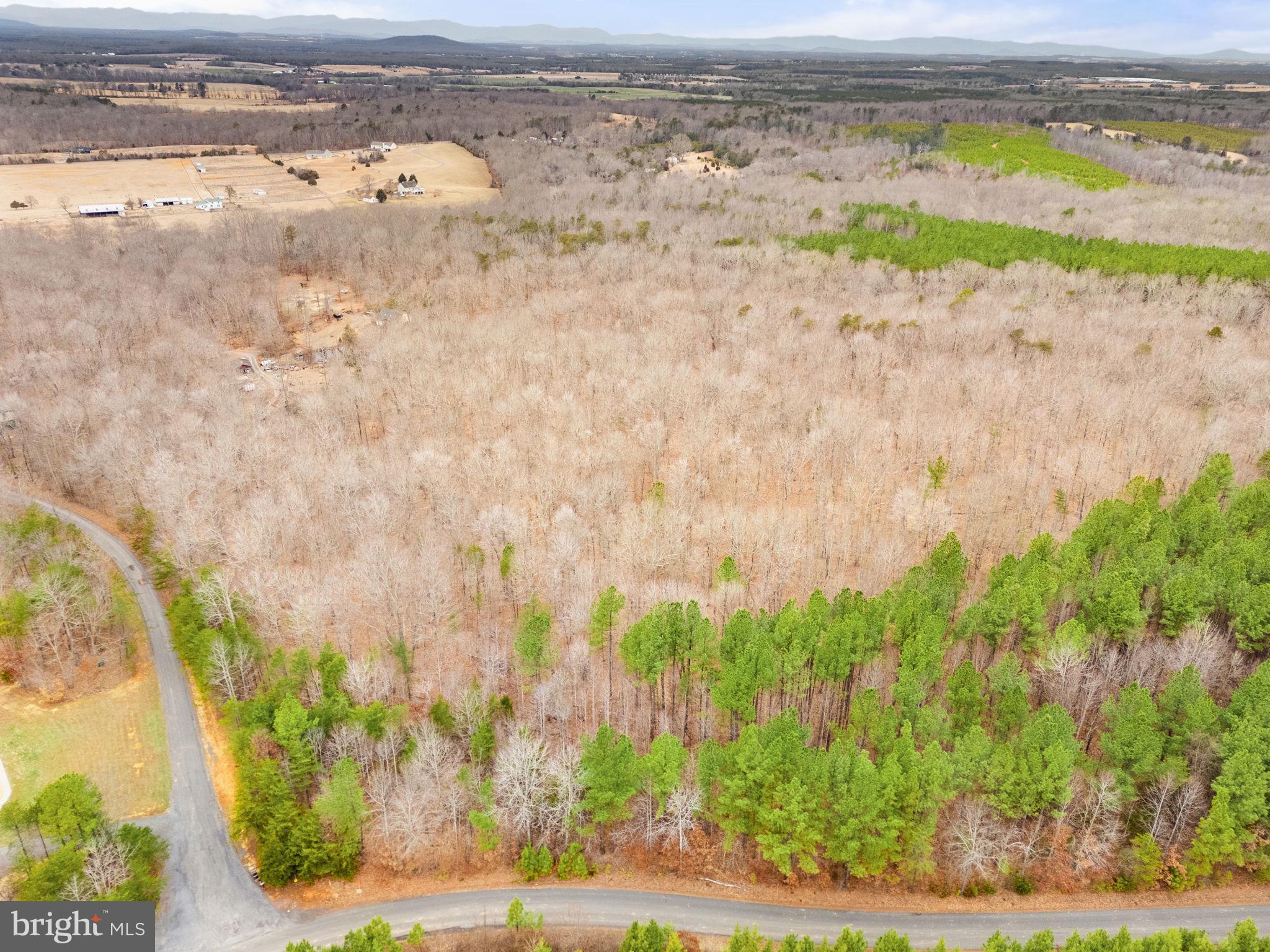 Sams Ridge Lignum, VA 22726 - Photo 14 of 31 a view of beach and ocean