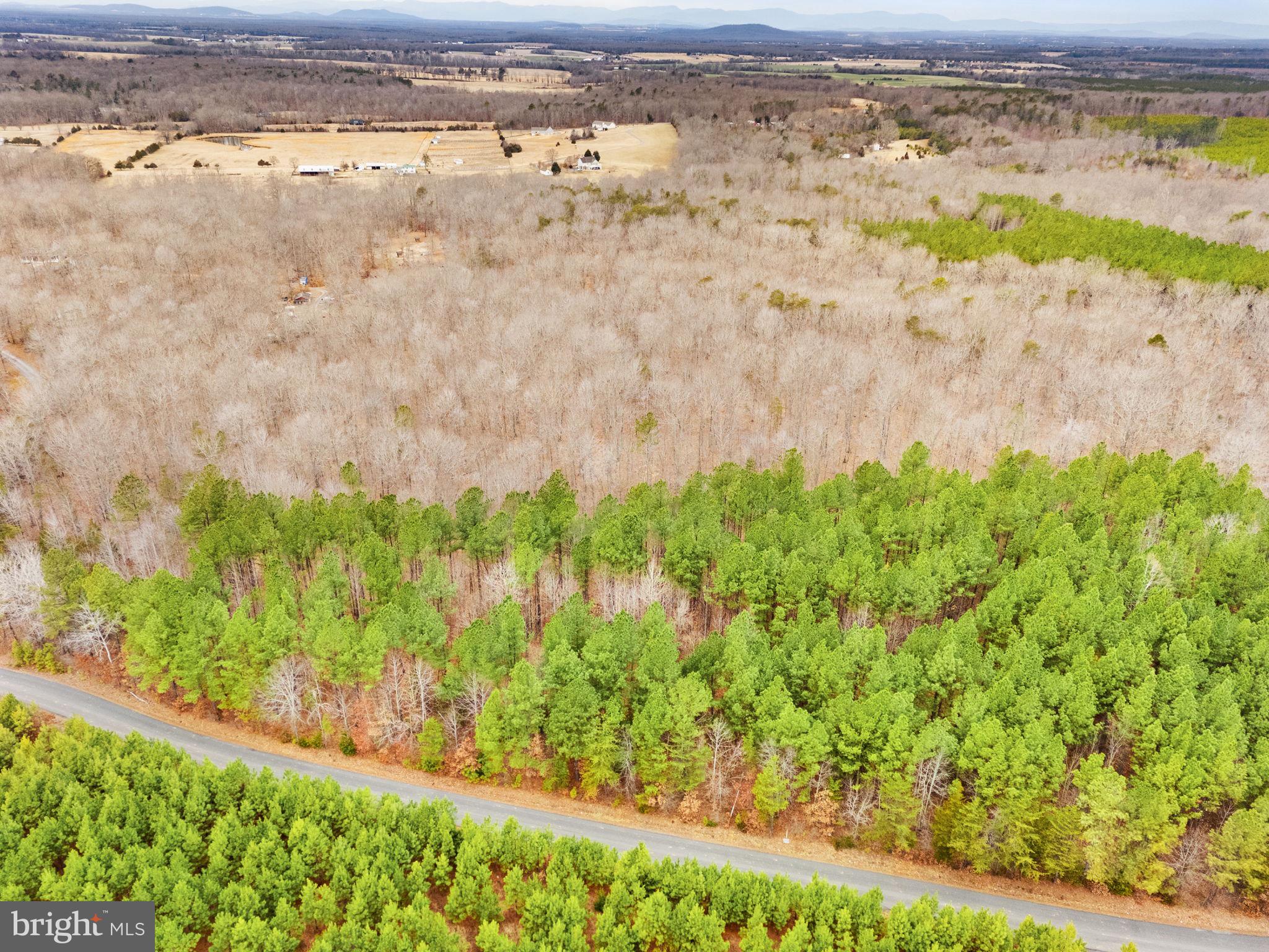 Sams Ridge Lignum, VA 22726 - Photo 15 of 31 a view of beach and ocean