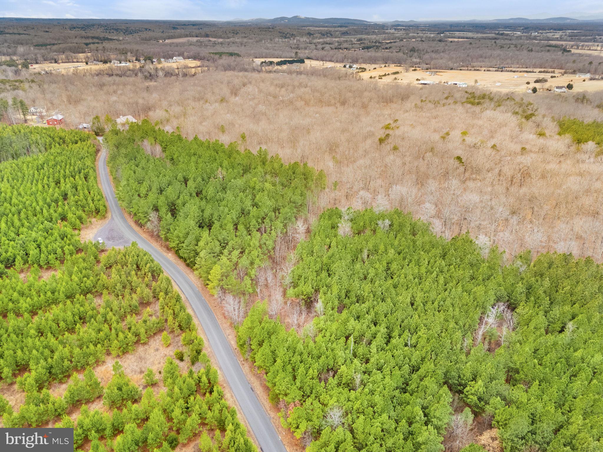 Sams Ridge Lignum, VA 22726 - Photo 16 of 31 a view of a lake from a yard