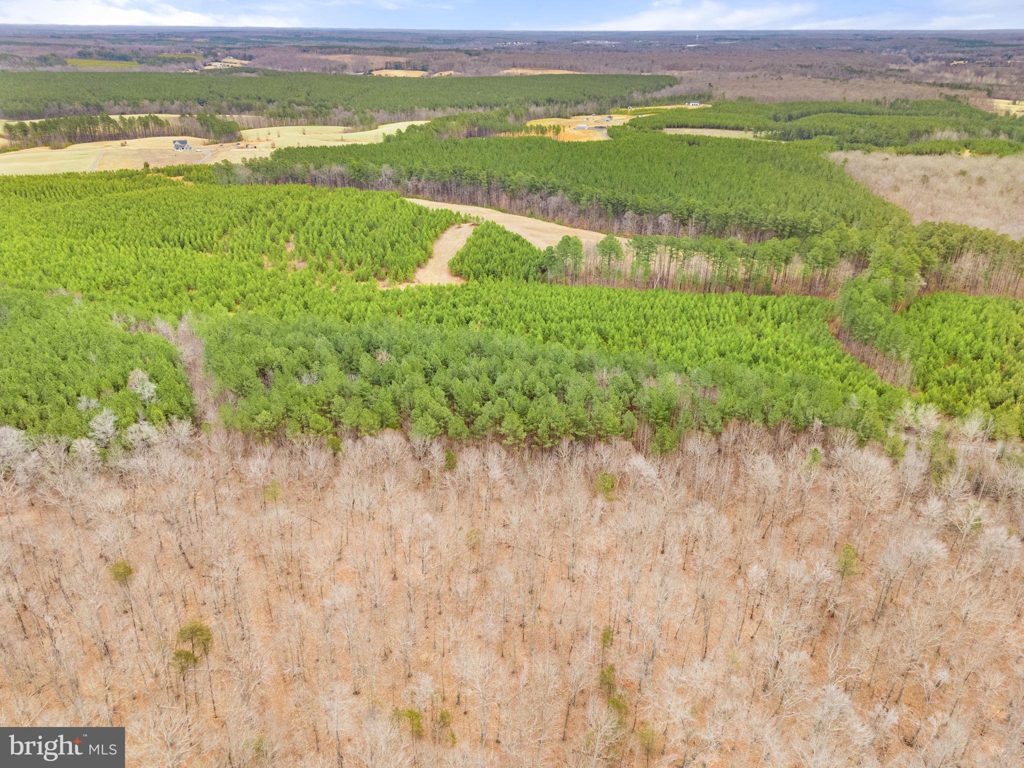 Sams Ridge Lignum, VA 22726 - Photo 20 of 31 a view of a lake with a mountain in the background