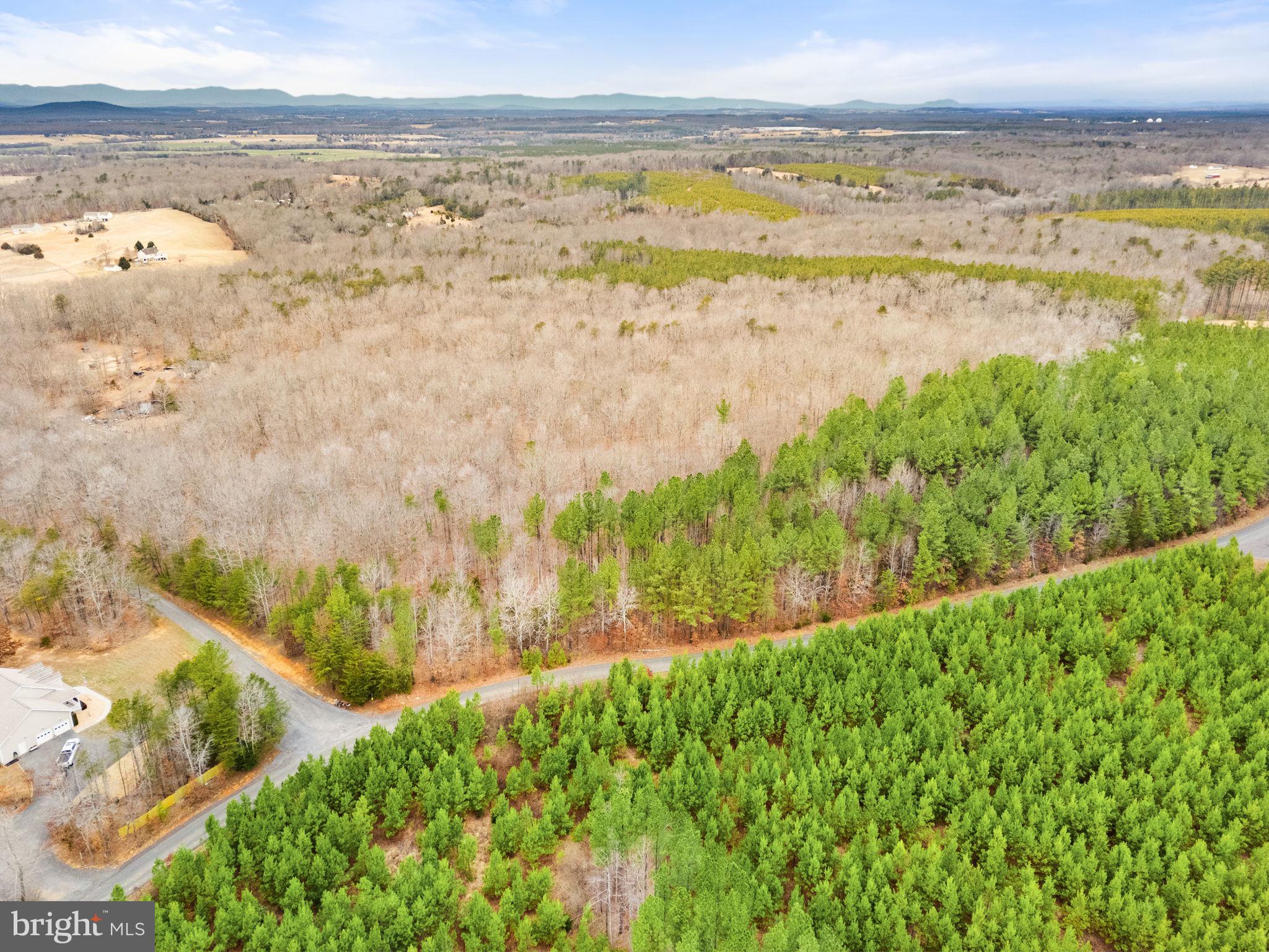 Sams Ridge Lignum, VA 22726 - Photo 24 of 31 a view of beach and ocean
