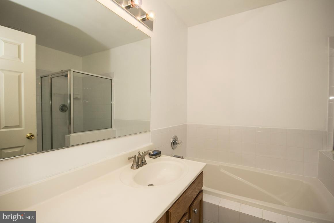 8433 Glad Rivers Row Columbia, MD 21045 - Photo 22 of 29 Bath (Master)