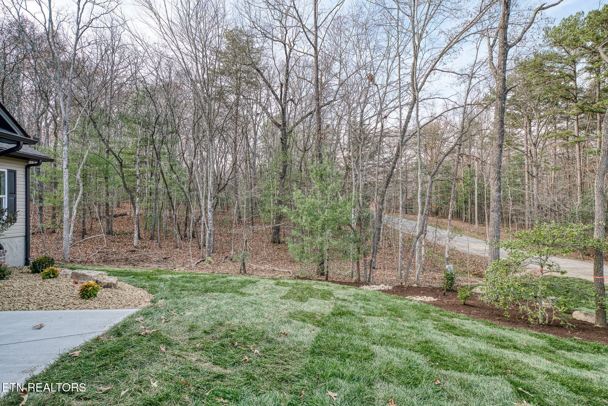 149 Dalefield Loop Crossville, TN 38558 - Photo 6 of 38 149 Dalefield Loop