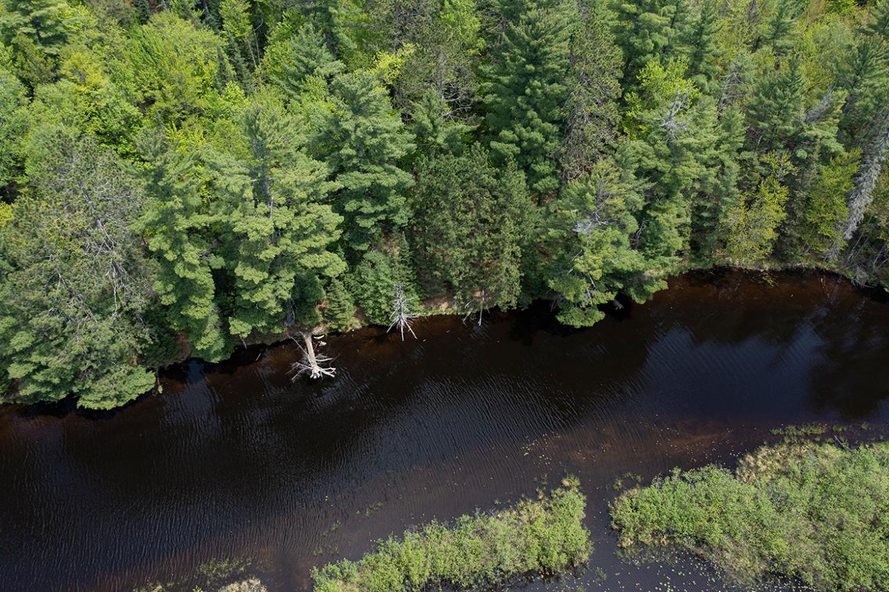 On Dam Road, Unit 85 ACRES Eagle River, WI 54521 - Photo 33 of 41 Gallery Image 33