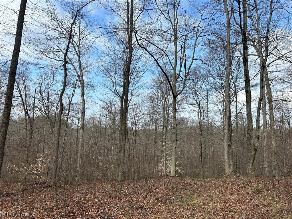 Wilbur Bush Road Crooksville, OH 43731 - Photo 14 of 19