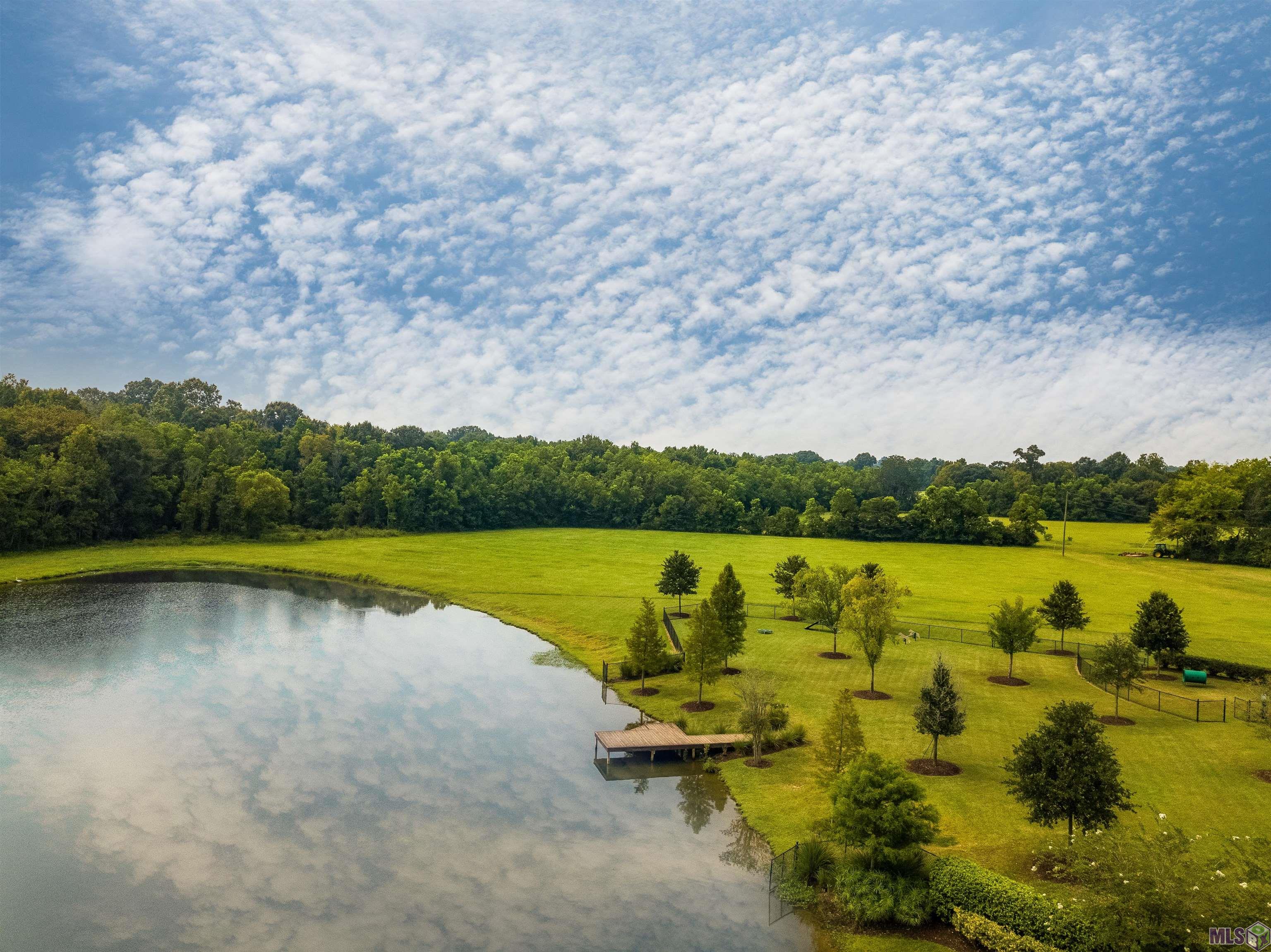 19646 Barnett Road Zachary, LA 70791 - Photo 2 of 19