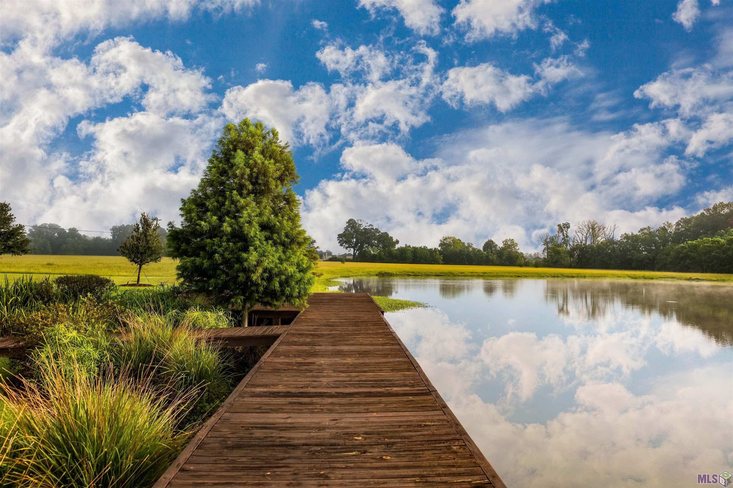 19646 Barnett Road Zachary, LA 70791 - Photo 9 of 19