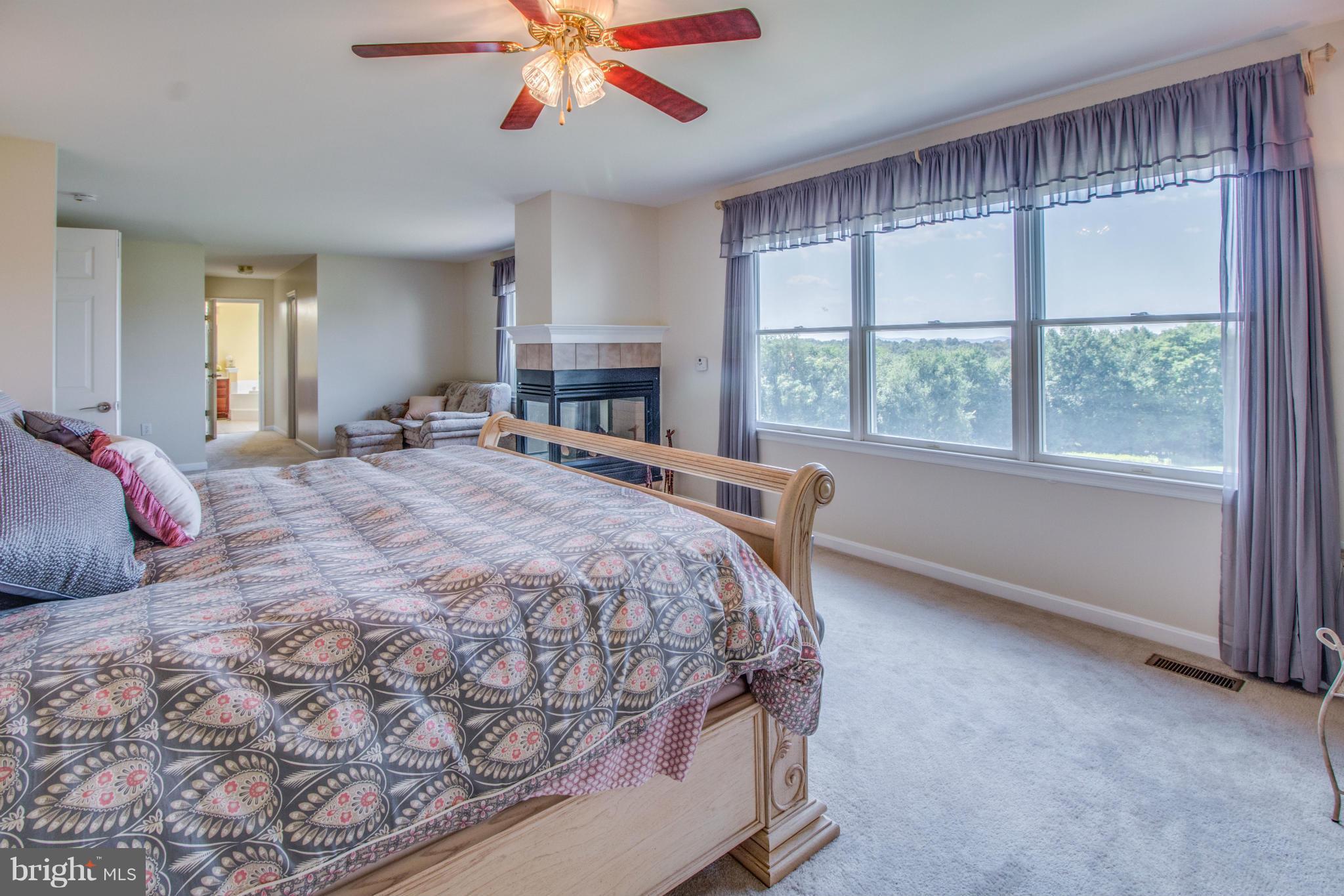 27916 Barnes Road Damascus, MD 20872 - Photo 14 of 29 Bedroom (Master)