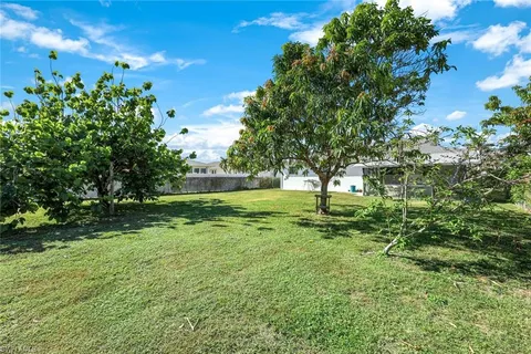 a view of a yard with a tree