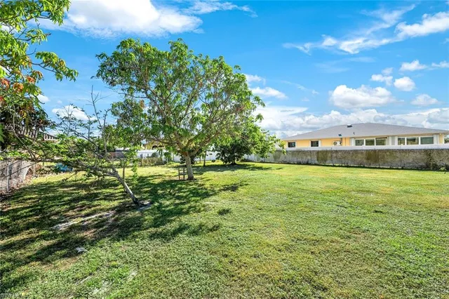 a view of a yard with a tree