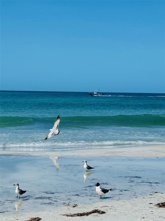 18218 Sunset Boulevard, Unit A St. Petersburg, FL 33708 - Photo 11 of 48