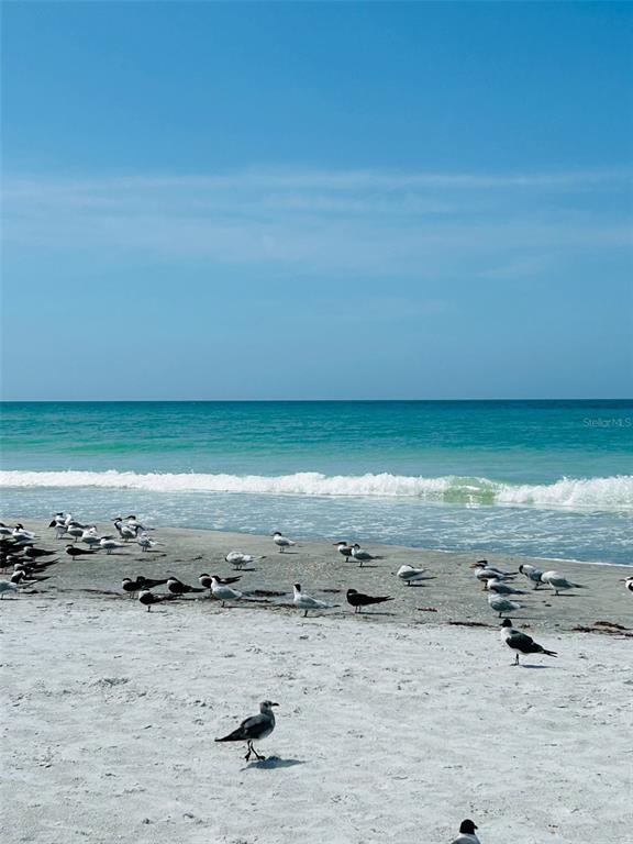 18218 Sunset Boulevard, Unit A St. Petersburg, FL 33708 - Photo 14 of 48 an aerial view of beach and ocean