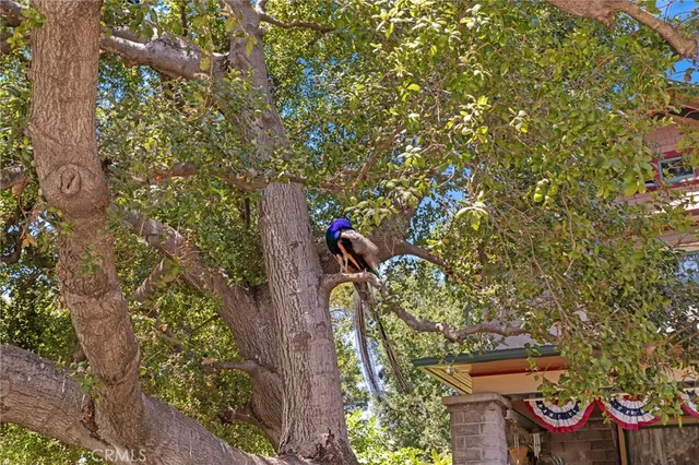 $825,000 | 289 East McKinley Avenue, Pomona, CA 91767