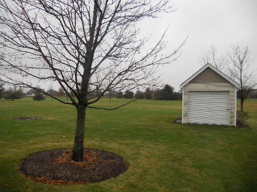 12637 West Baker Road Manhattan, IL 60442 - Photo 16 of 16