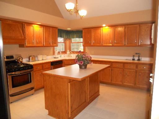 12637 West Baker Road Manhattan, IL 60442 - Photo 6 of 16