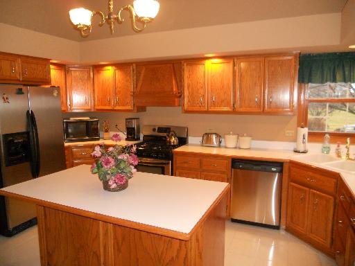 12637 West Baker Road Manhattan, IL 60442 - Photo 7 of 16