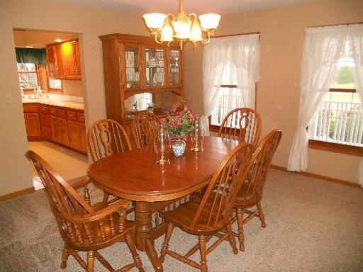 12637 West Baker Road Manhattan, IL 60442 - Photo 8 of 16