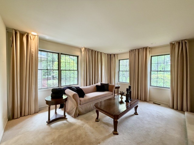11-n071 Johnstoun Road Elgin, IL 60124 - Photo 10 of 90