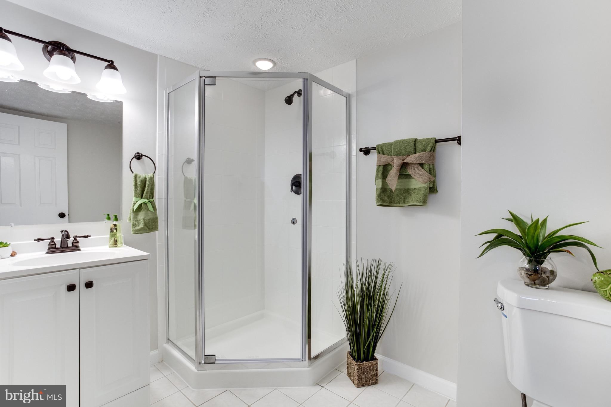 620 Riden Street Odenton, MD 21113 - Photo 22 of 30 Private Full Bath- Lower Level In-Law Suite