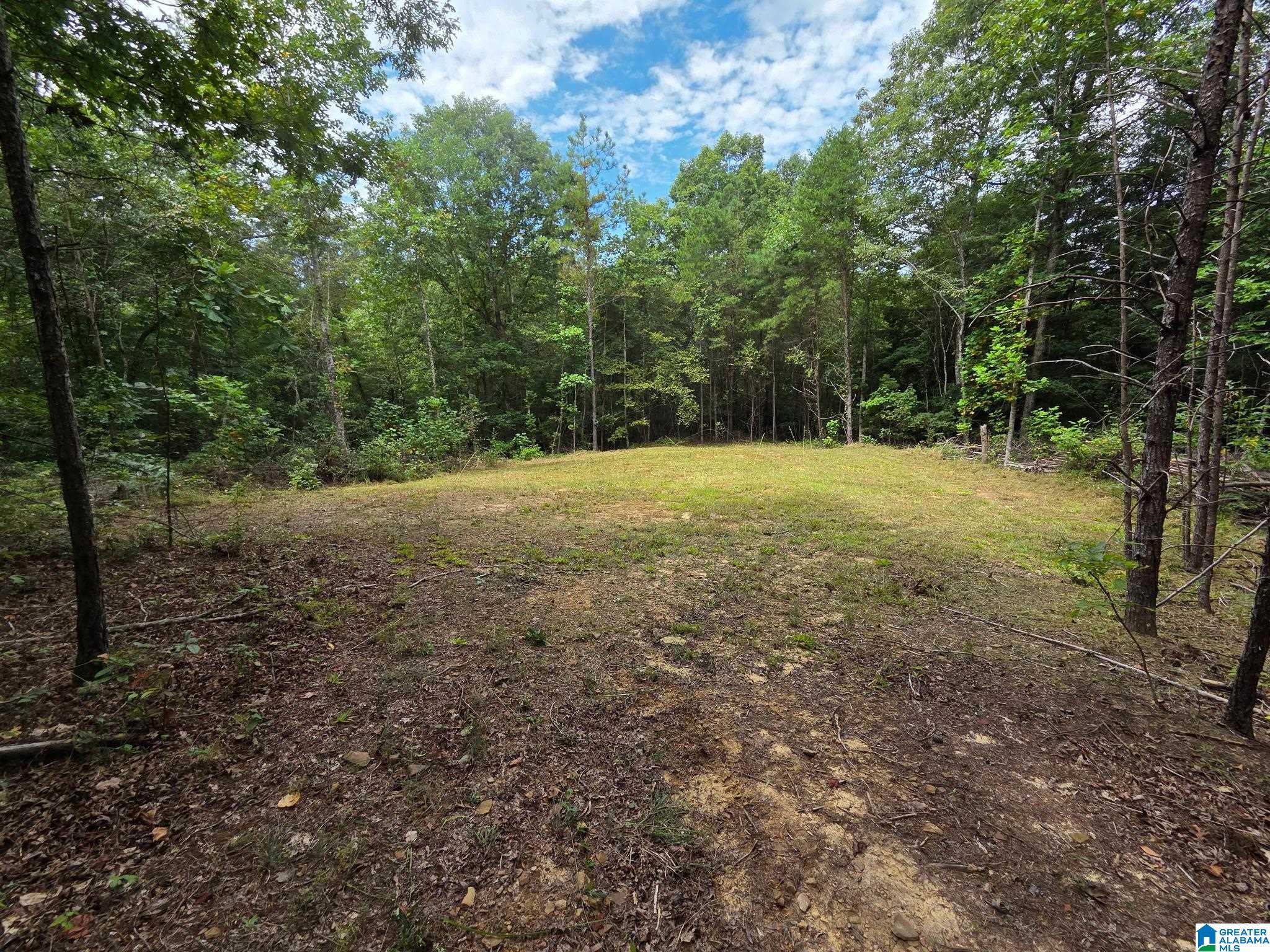 2 County Road 2, Unit 50 / ACRES Double Springs, AL 35553 - Photo 29 of 79