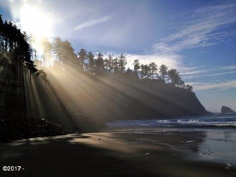 3501 South Beach Road Neskowin, OR 97149 - Photo 2 of 25 Neskowin State PArk