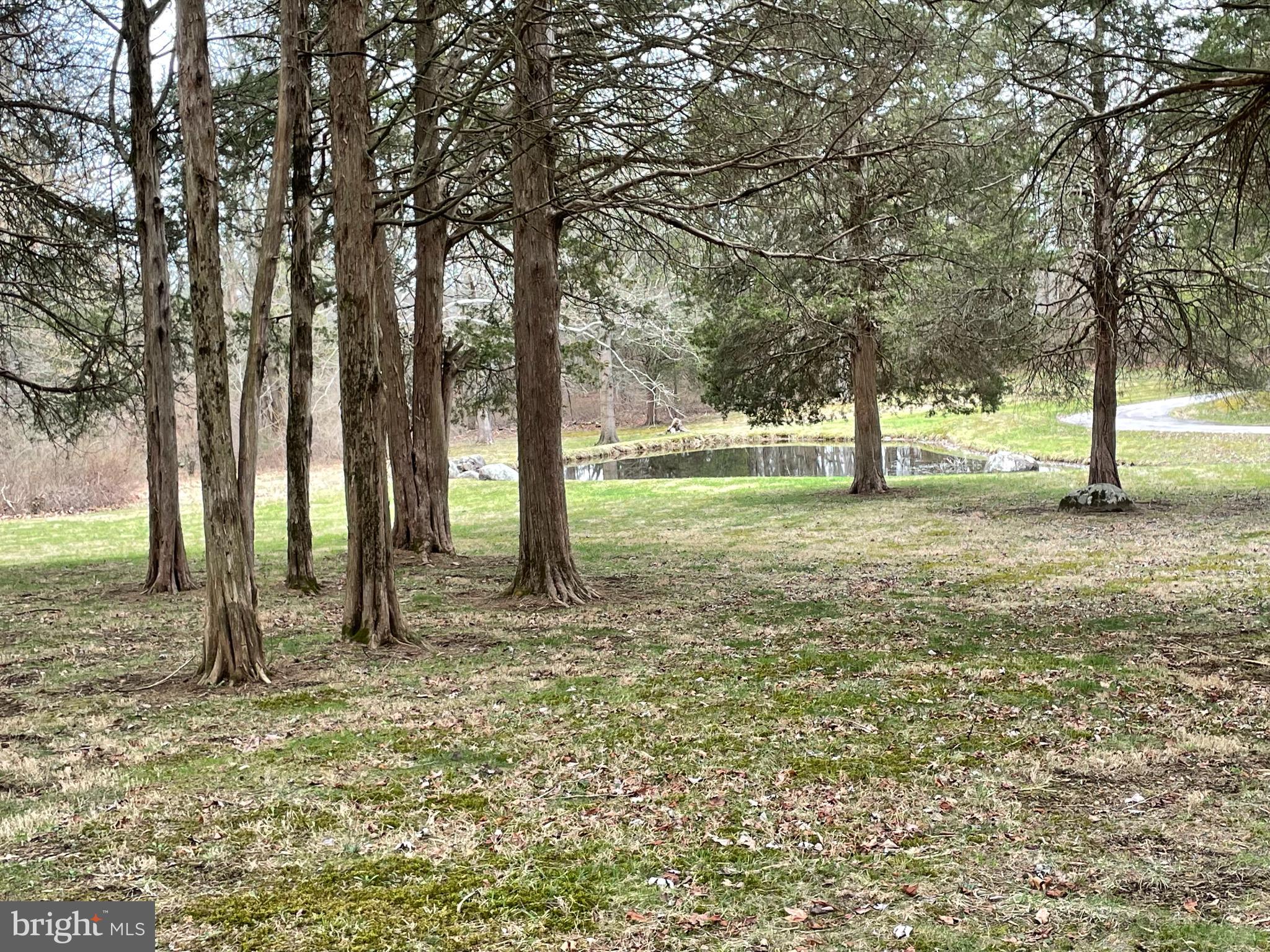 60 Ridge Road Gettysburg, PA 17325 - Photo 38 of 41 a view of a yard with a tree