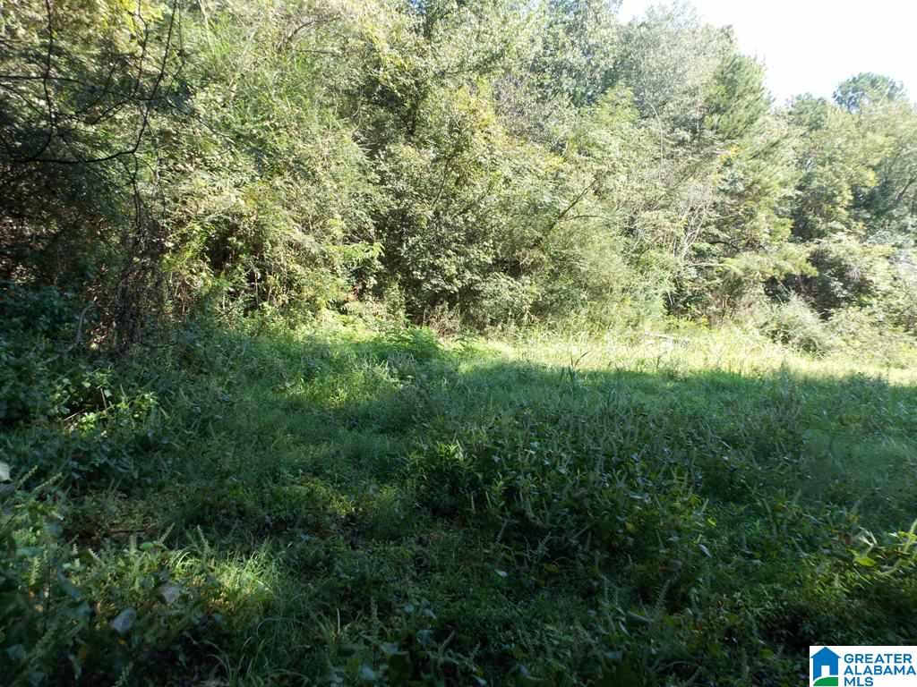 375 Marble Quarry Road, Unit 7 ACRES Talladega, AL 35160 - Photo 30 of 33