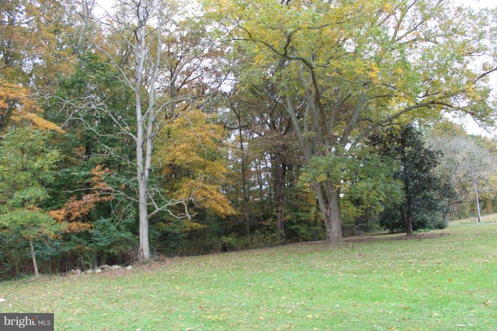 View from side yard