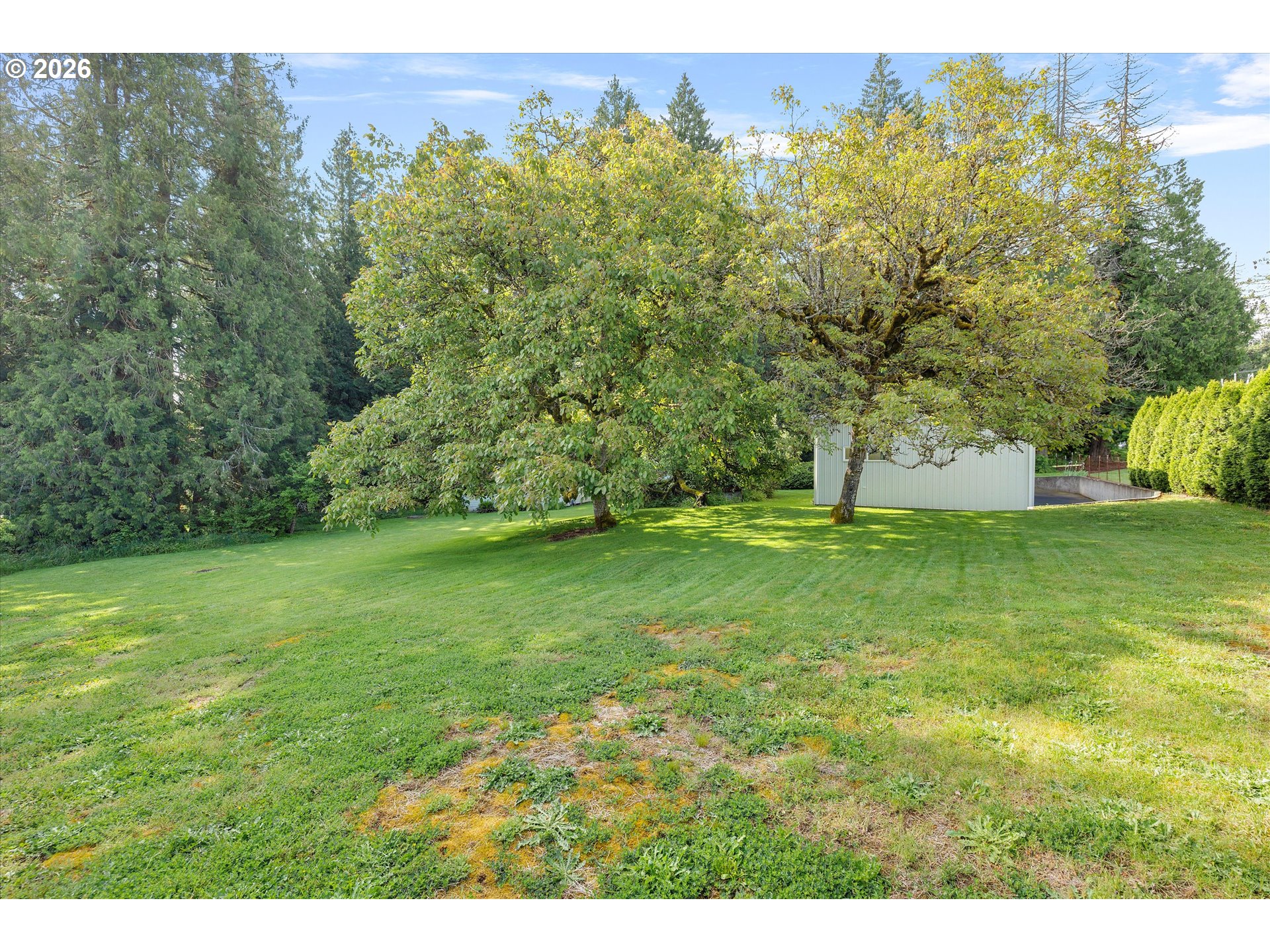 30185 Southeast Wheeler Road Boring, OR 97009 - Photo 26 of 27 a view of yard with green space