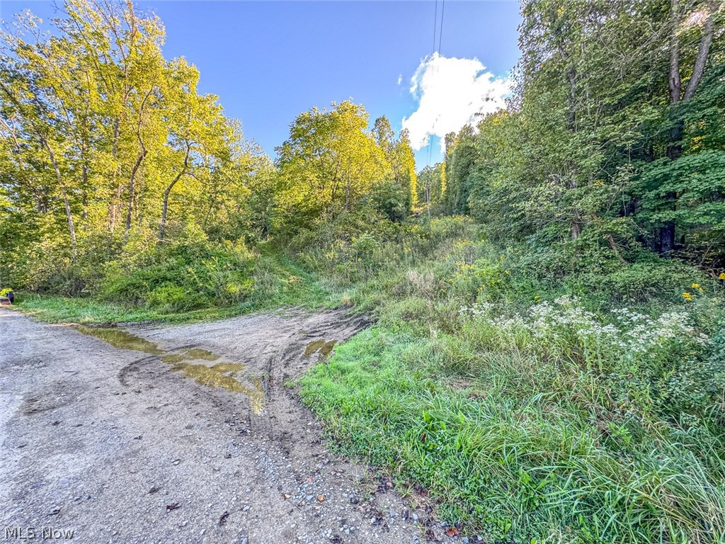0 Southeast Kleski Road Tippecanoe, OH 44699 - Photo 4 of 33 Gallery Image 4