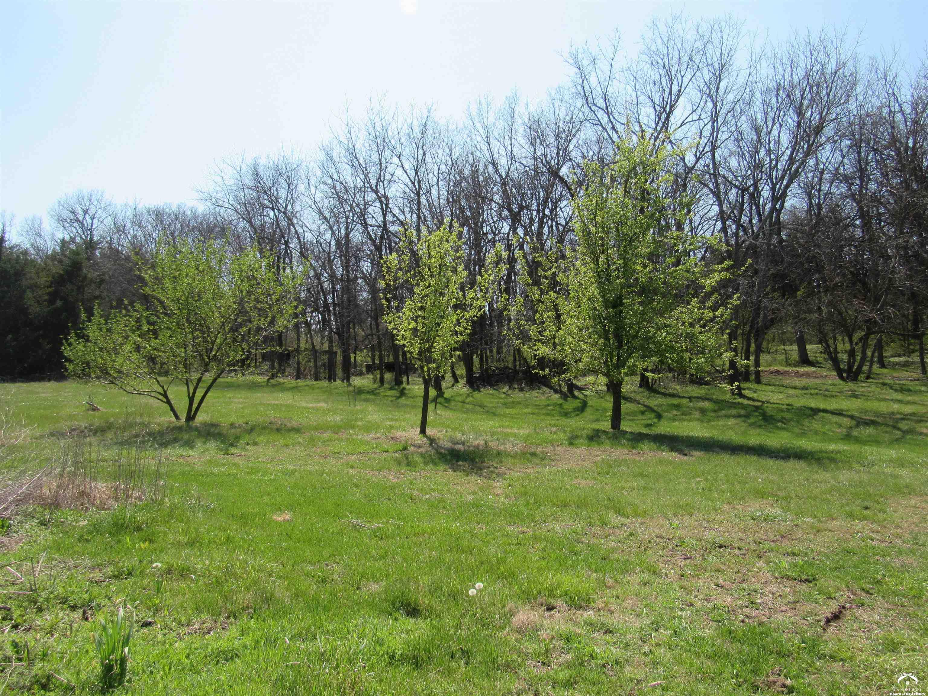 1901 North 600 Road Baldwin City, KS 66006 - Photo 6 of 49