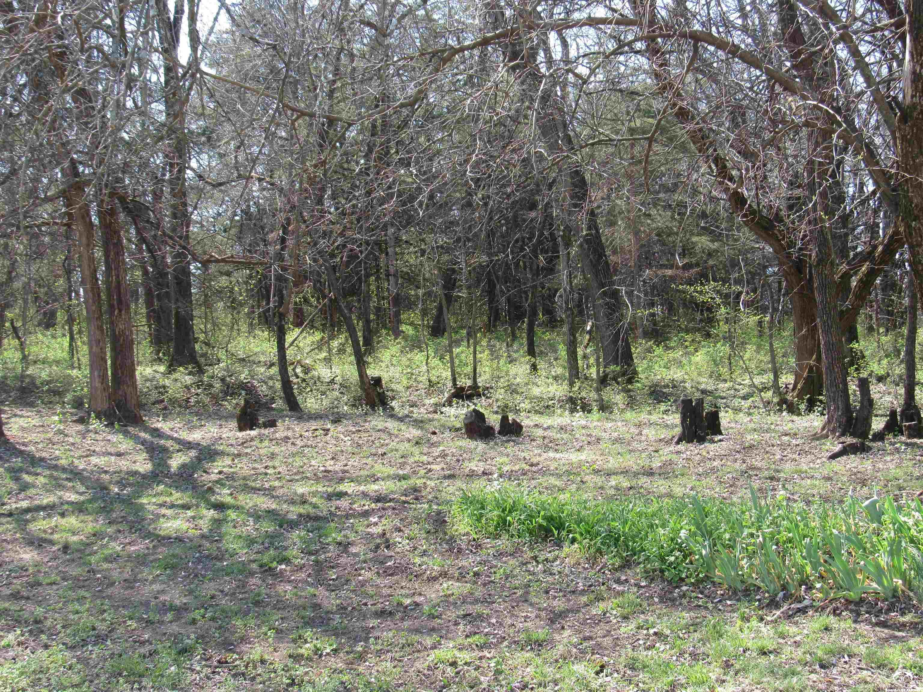 1901 North 600 Road Baldwin City, KS 66006 - Photo 7 of 49