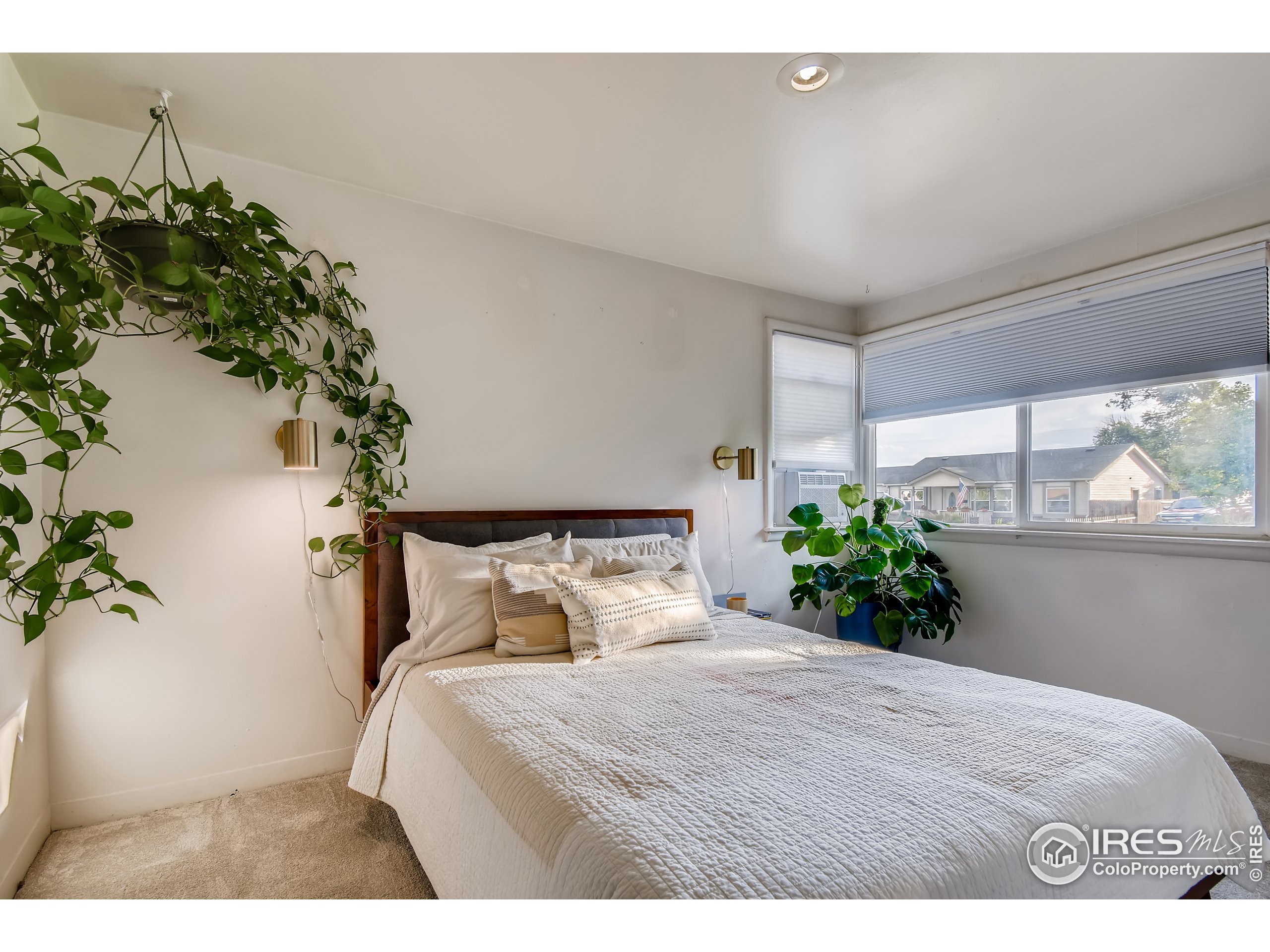 7420 Raleigh Street Westminster, CO 80030 - Photo 3 of 40