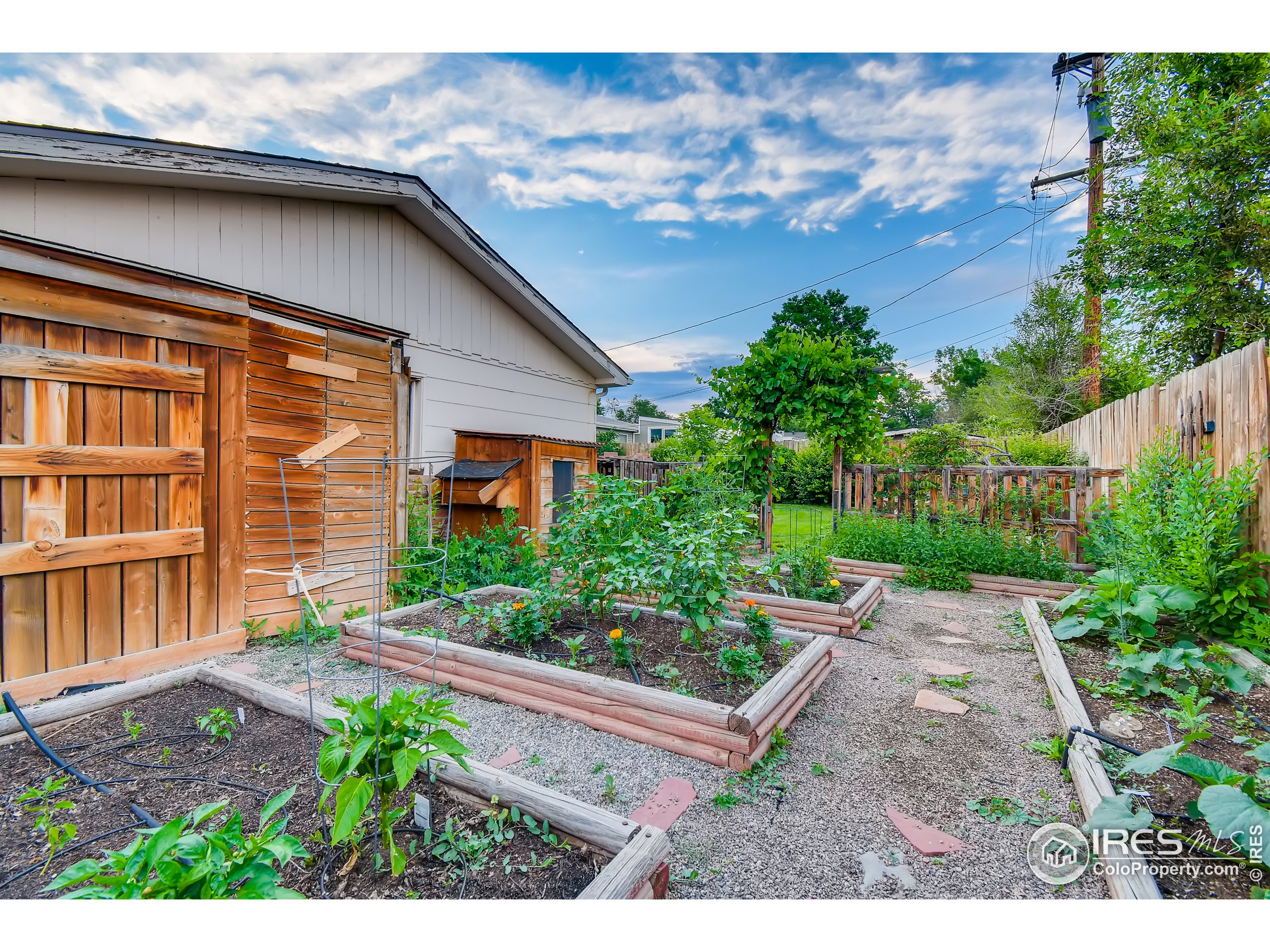 7420 Raleigh Street Westminster, CO 80030 - Photo 6 of 40