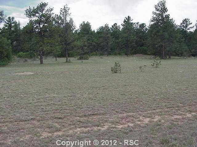 1315 Northfield Road Colorado Springs, CO 80919 - Photo 2 of 2 Easy to build on, Park setting