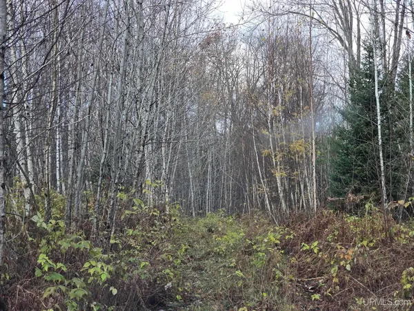 $49,900 | Tbd Fence River Road, Republic, MI 49879