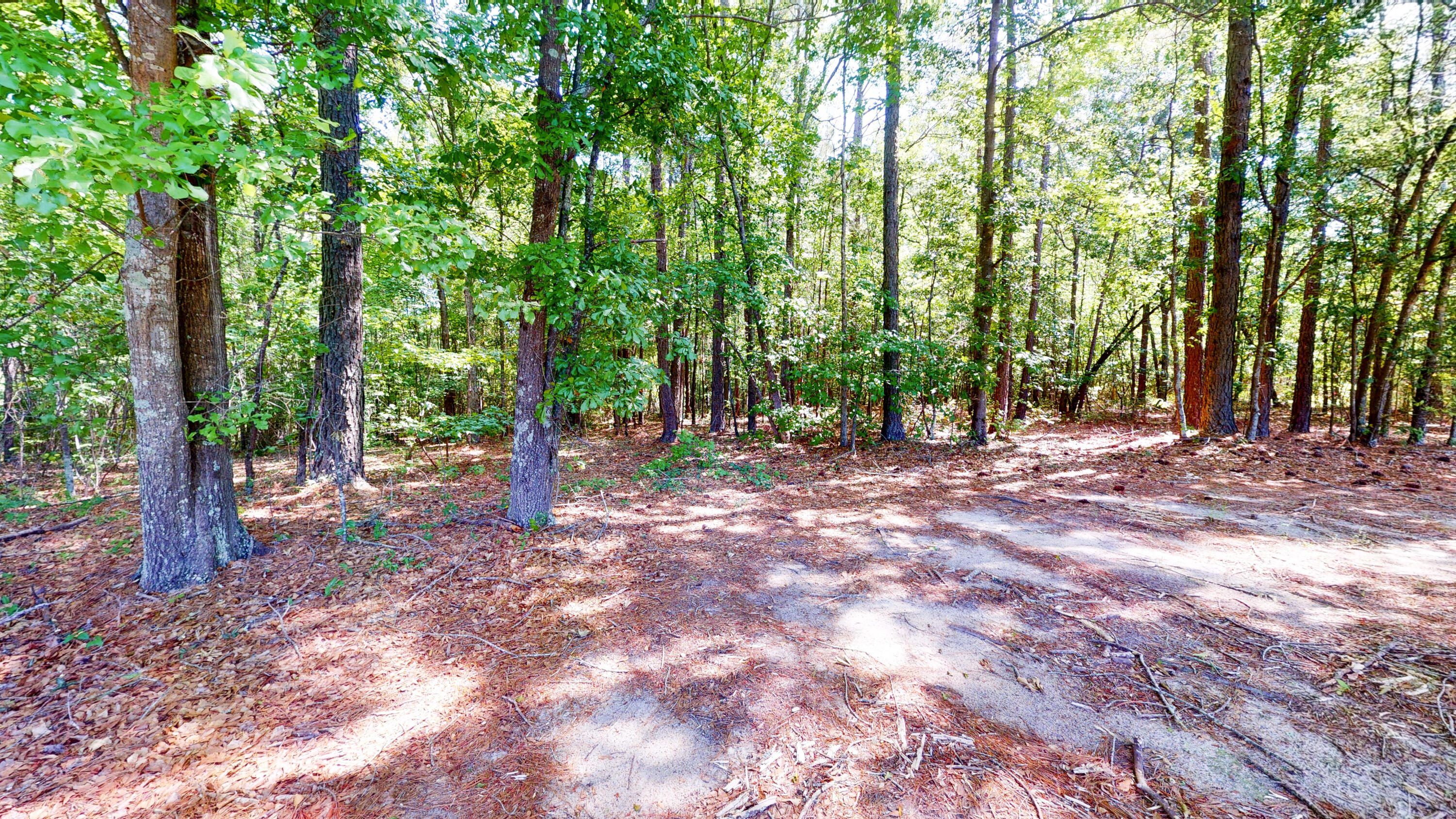 260 Holmes Pond Road Johnston, SC 29832 - Photo 10 of 16