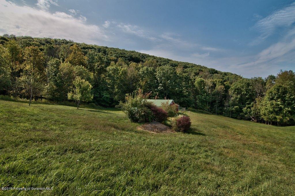 1065 Newton Road Clarks Summit, PA 18411 - Photo 51 of 57 Gallery Image 51