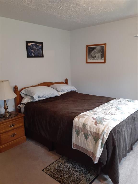 802 South Pike Road Sarver, PA 16055 - Photo 14 of 22 Main level bedroom