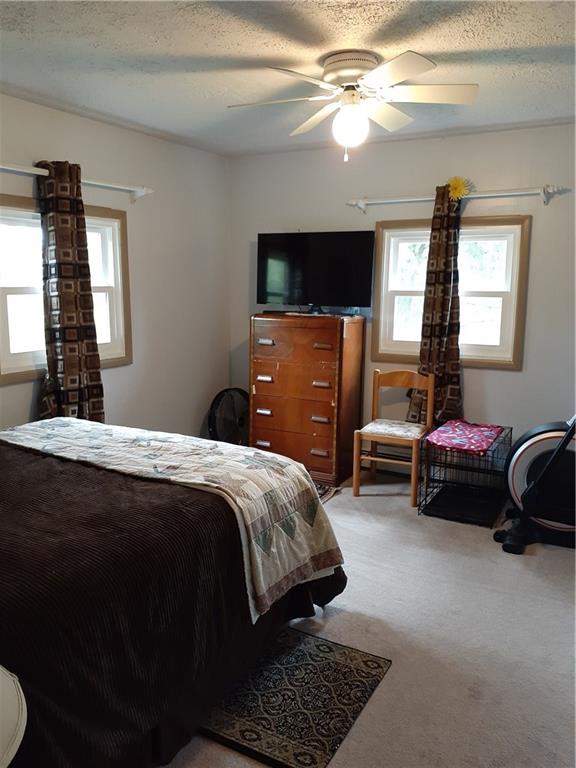 802 South Pike Road Sarver, PA 16055 - Photo 15 of 22 Main level bedroom
