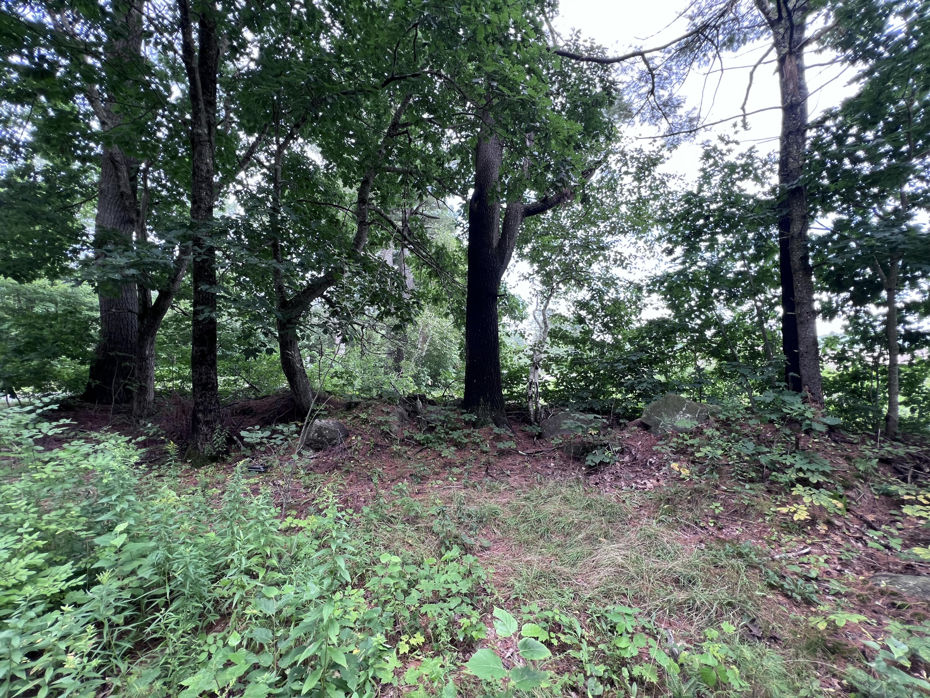 100 Chapel Road Waldoboro, ME 04572 - Photo 3 of 5 IMG_4704
